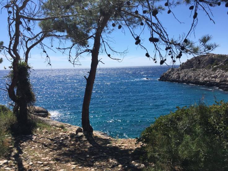 17916577_10155210670639508_504961093_o